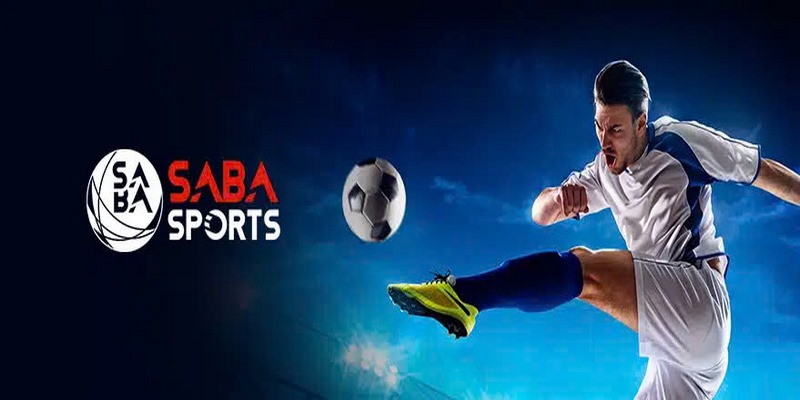 Saba sports GK8 là sự kết hợ củpa hai thương hiệu uy tín